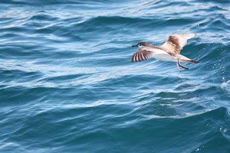 IMG_4071